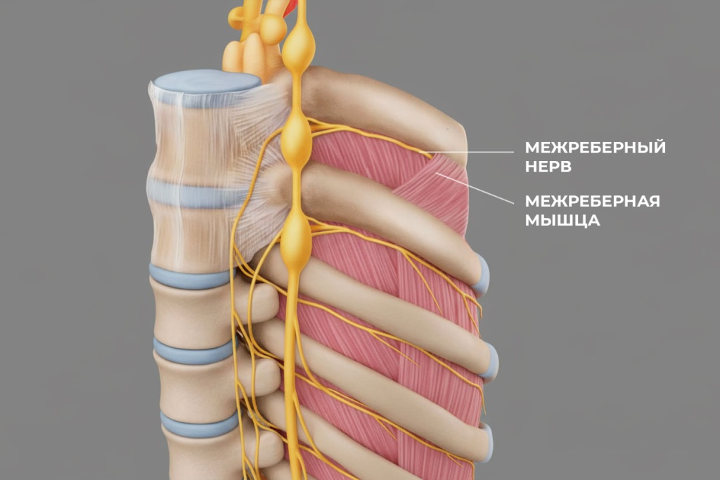 Межреберная-невралгия_2.jpg