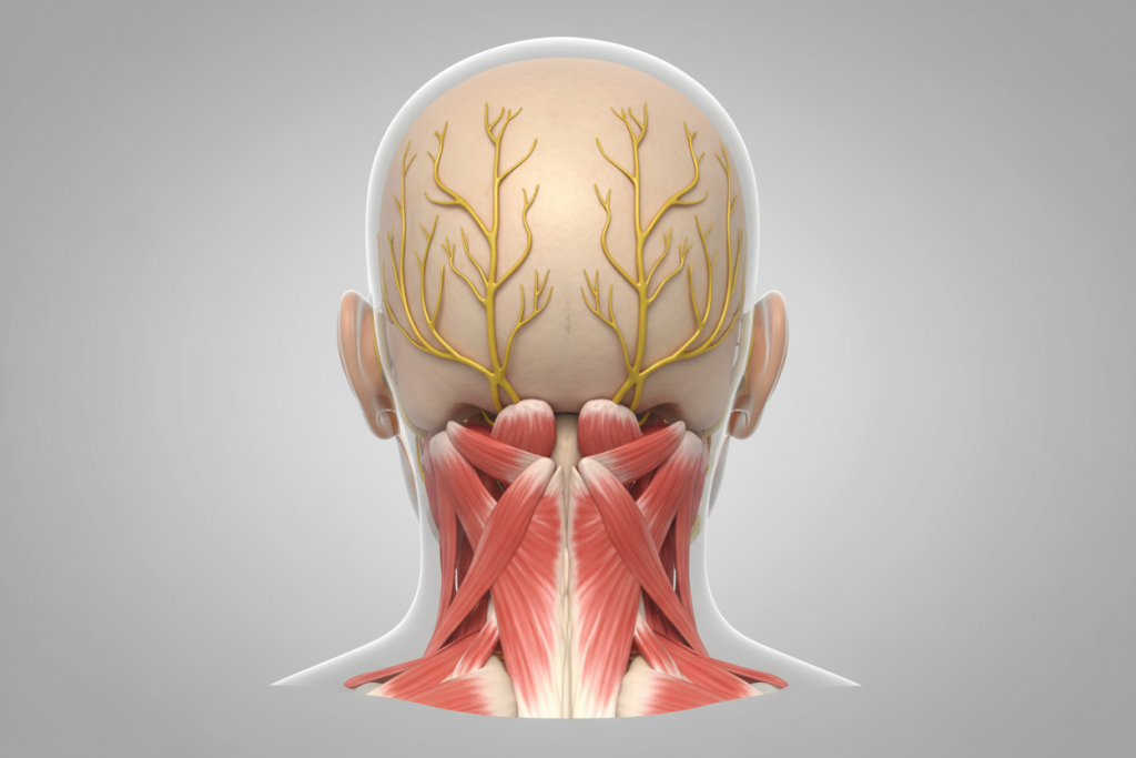 Невралгия затылочного нерва_2.png